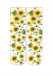 Preview: Wigglesteps Damen - Socken - Style: 05187 - Sonnenblume