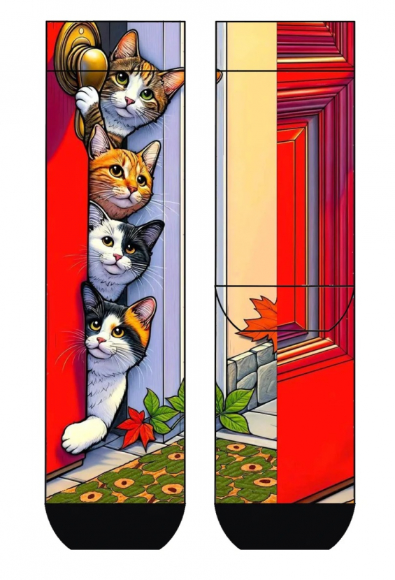 Cool 7 - Unisex One Size (36/41) - Print Socken - Runddruck Motiv: C5361